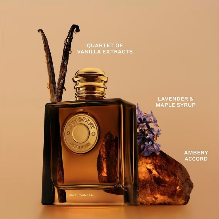 Burberry Goddess Amber Vanilla Apa de parfum intensa note olfactive