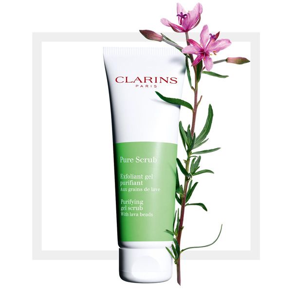Clarins Crema Exfolianta Pure Scrub 50ml ingrediente