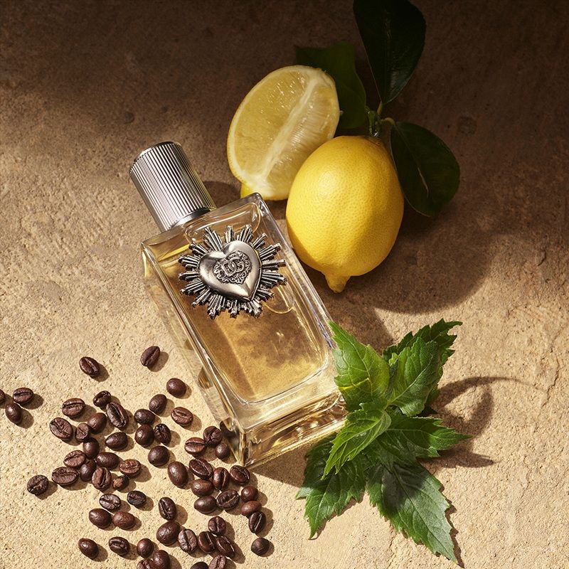 D&G Devotion Pour Homme Apa de parfum note