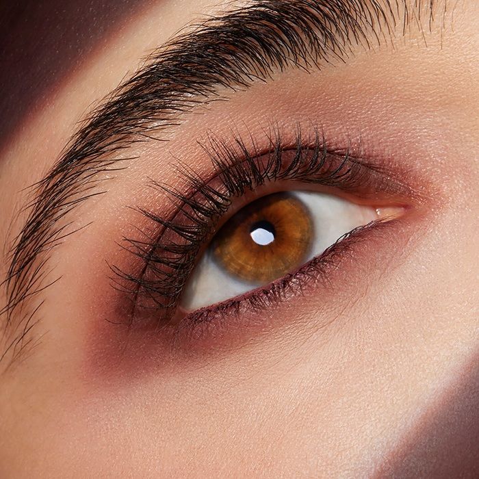 Estee Lauder Paleta Fard de ochi Pure Color Envy Luxe Quad 03 Aubergine Dream 6g