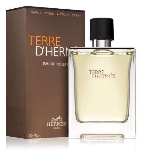 Hermes Terre D'Hermes Apa de toaleta 100 ml