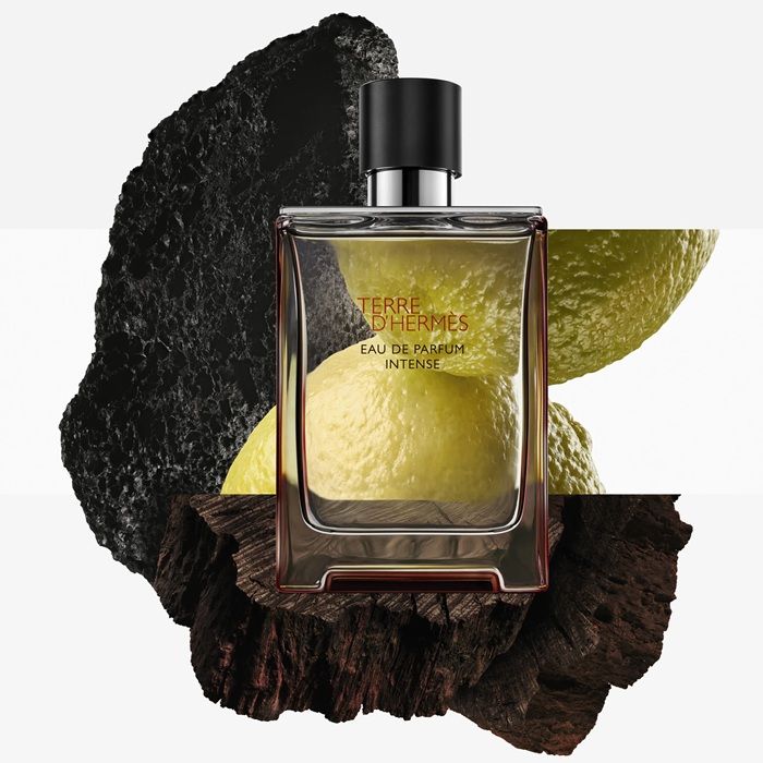 Hermes Terre D'Hermes Intense Apa de parfum 100ml 