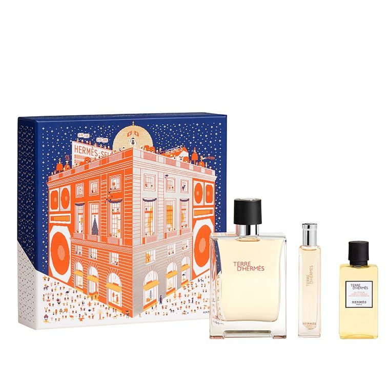 Hermes Terre D'Hermes Set (Apa de toaleta 100ml + Apa de toaleta 15ml + Aftershave Balsam dupa ras 40ml + Gel Dus 40ml)
