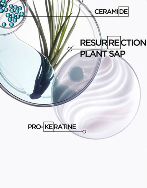 Kerastase Resistance Bain Force Architecte ingrediente
