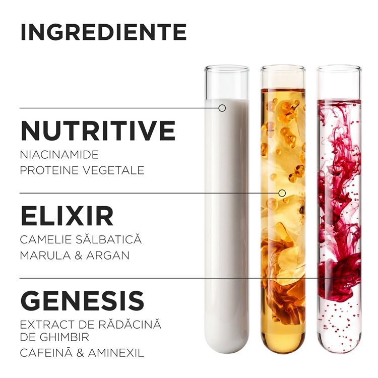 Kerastase Icons On The Go Set ingrediente active