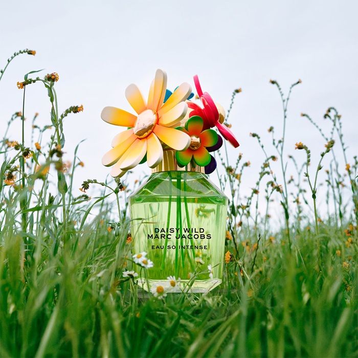 Marc Jacobs Daisy Wild Eau So Intense Eau de parfum