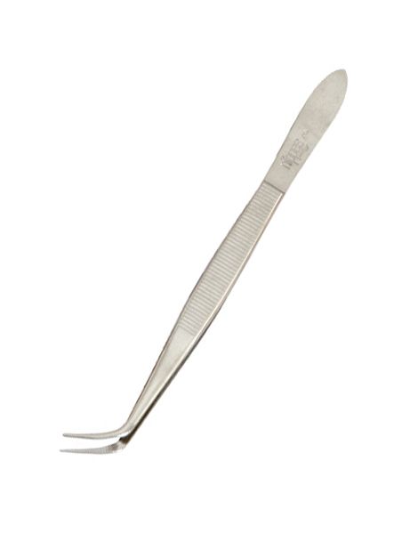 Nippes Solingen Penseta 3E – 10cm