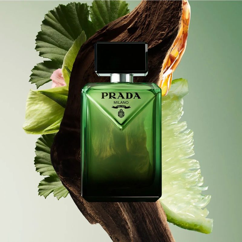Prada Paradigme Eau de parfum note