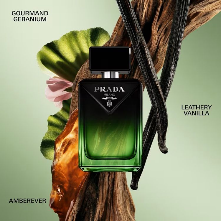 Prada Paradigme Le Parfum note olfactive