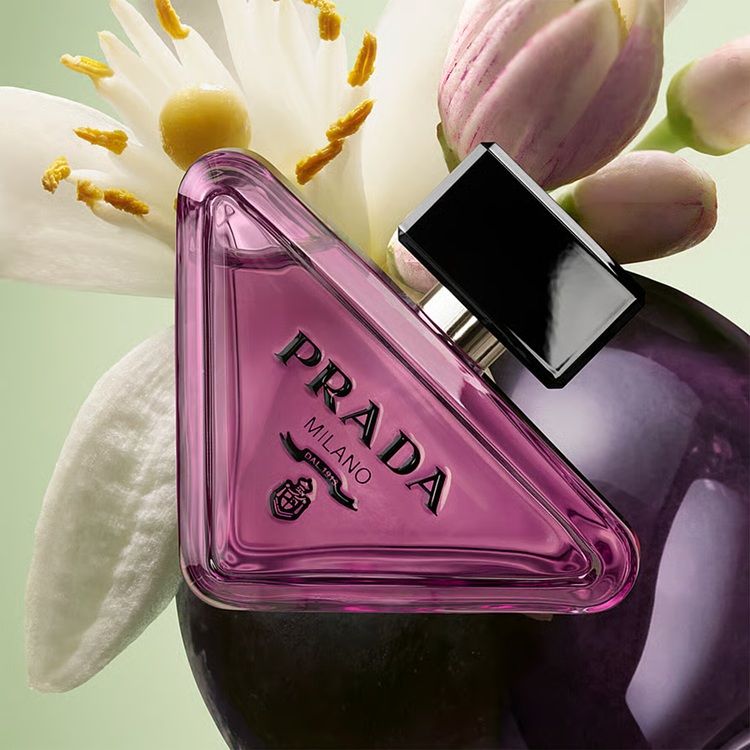 Prada Paradoxe Sweet Chemistry note olfactive