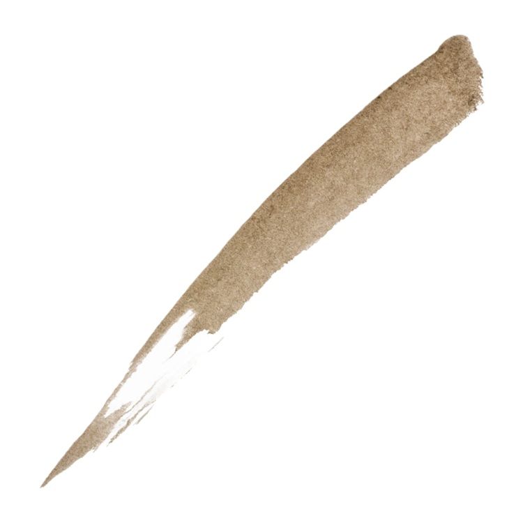 Radiant Pen Wizard Tattoo Tus pentru sprancene 3 Dark Brown 1ml