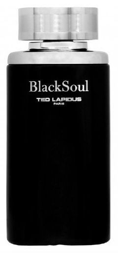 Ted Lapidus Black Soul Apa de toaleta 30ml