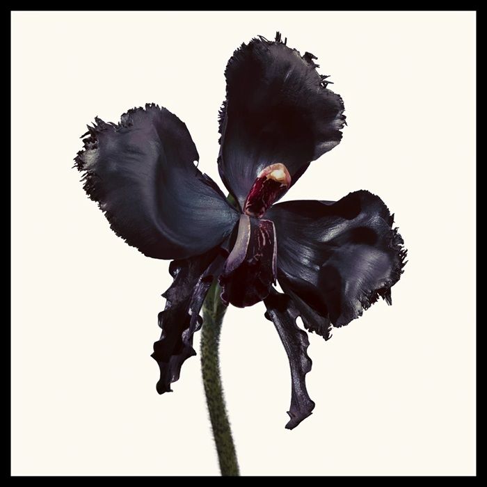 Tom Ford Black Orchid Reserve Apa de parfum 