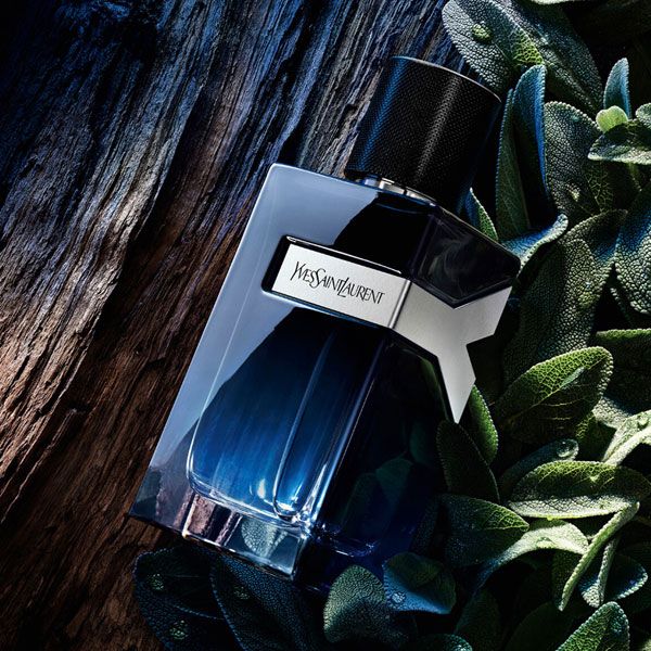 Yves Saint Laurent Y Pour Homme Apa de parfum pentru Barbati 40ml Note Olfactive