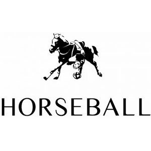 Horseball